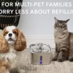 Three easy-clean washable pet water fountains—cordless PETLIBRO Dockstream, stainless Veken, and 4L KittySpout—arranged on a clean countertop.