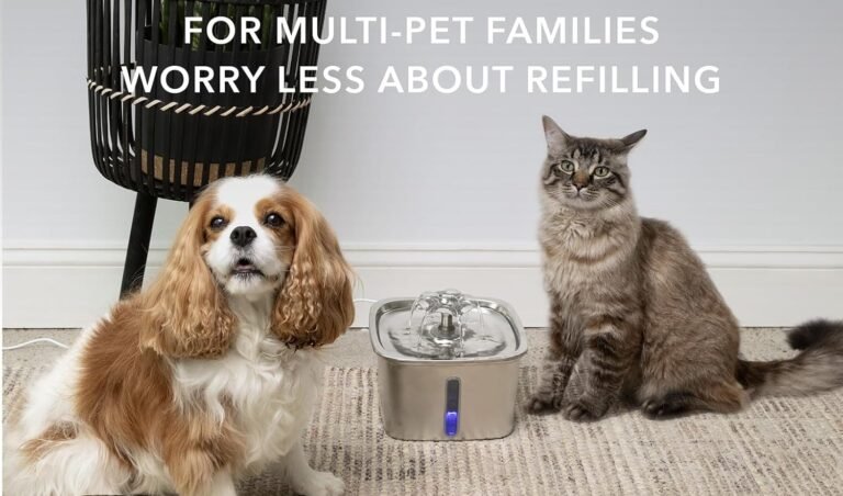 Three easy-clean washable pet water fountains—cordless PETLIBRO Dockstream, stainless Veken, and 4L KittySpout—arranged on a clean countertop.